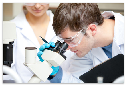 Studienfach Biologie